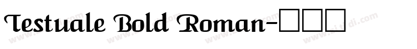 Testuale Bold Roman字体转换